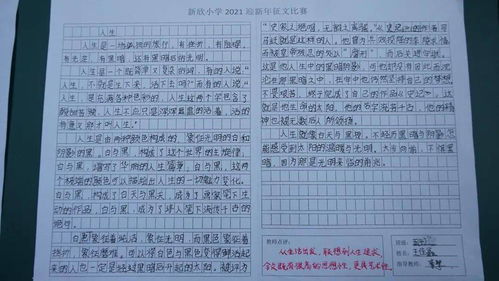我們的校園作文中新小學(xué)
