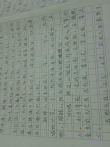 作文,春夏秋冬,校園