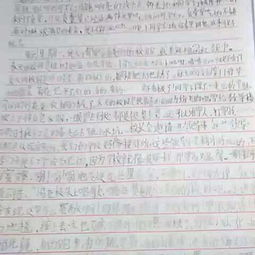 來(lái)自校園的歡笑作文1000字