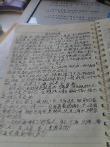 營(yíng)丘鎮小學(xué)校園風(fēng)景作文