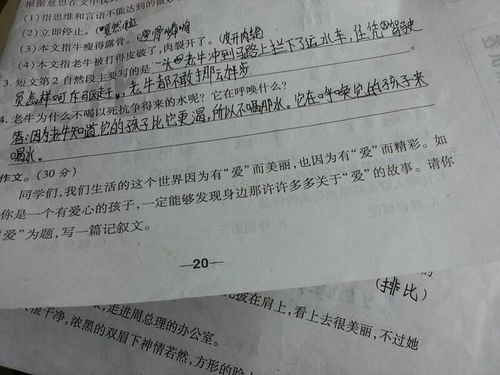 以我愛(ài)校園為話(huà)題的作文開(kāi)頭結尾