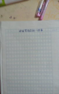 難忘的一天校園作文600字作文