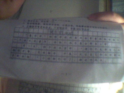 校園里的快樂(lè )活動(dòng)作文500