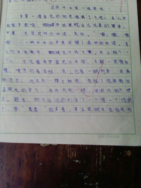 校園游記寫(xiě)二十二小的作文