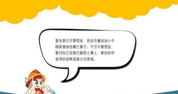 關(guān)愛生命快樂成長的內(nèi)容,關(guān)愛生命快樂成長演講稿,關(guān)愛生命快樂成長黑板報