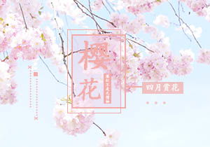 描寫(xiě)校園櫻花樹(shù)作文700字
