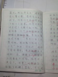 怎么寫(xiě)校園難忘的事作文怎么寫(xiě)