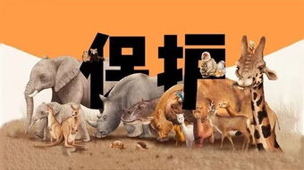 保護野生動(dòng)物工作進(jìn)校園的作文