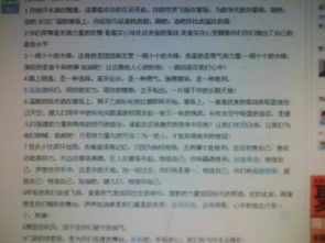 愛(ài)國歌曲進(jìn)校園新聞式的作文