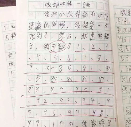 多彩的校園的作文八百字的小學(xué)生