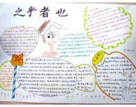 關(guān)于亂扔垃圾的我的校園的作文800字