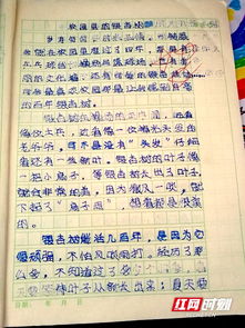 描寫(xiě)校園里的故事的作文