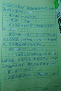 作文,給我們帶來(lái),樓梯,啟示
