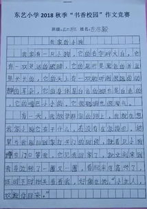 共建書(shū)香校園作文小學(xué)三級