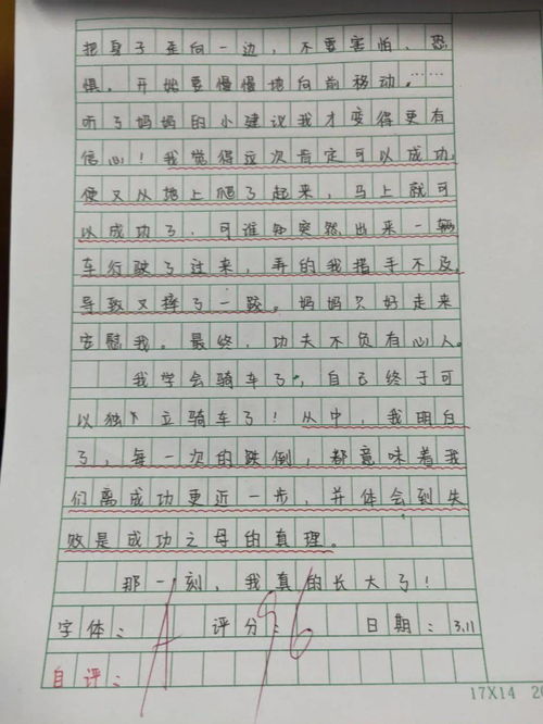 美麗的實(shí)驗小學(xué)作文,美麗的實(shí)驗小學(xué)作文怎么寫(xiě),我美麗的實(shí)驗小學(xué)作文