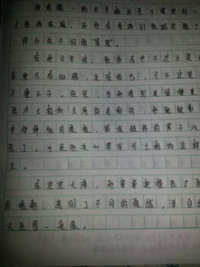 校園的變化作文500字,校園的變化作文500字六年級(jí),校園的變化作文500字五年級(jí)