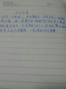 普通的校園作文的開頭