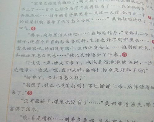 校園事件通訊作文500字