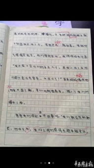 關(guān)于校園笑的作文340