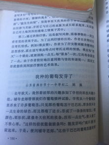 校園一角的1000字作文