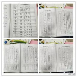 描寫校園圖書角的作文,班級圖書角作文300字,校園的圖書角作文400字
