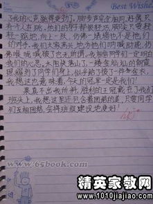 校園接力賽故事作文500字