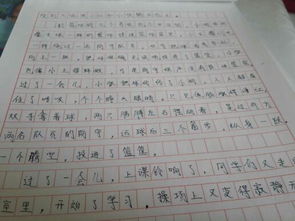 我眼中的校園作文600字初一