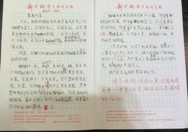 介紹新校園作文