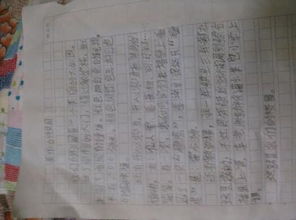 關于小學生四年級校園趣事的作文,四年級校園趣事作文怎么寫,四年級校園趣事的作文400字左右