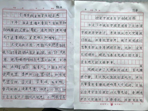 消防安全知識進校園作文