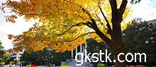 校園風景作文300字,校園風景作文200字,關于校園風景的作文500字