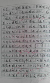 寫(xiě)一篇校園文化節作文400