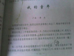 作文,六級,校園,游戲