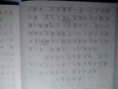 移步,我愛,作文,校園