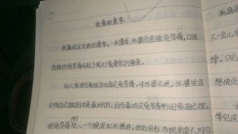 童校園趣事的英語(yǔ)作文