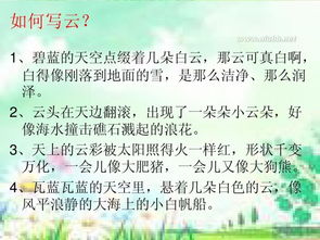 三年級作文描寫校園的一處景物作文怎么寫,三年級描寫校園的作文300字,小學(xué)三年級描寫校園的作文300