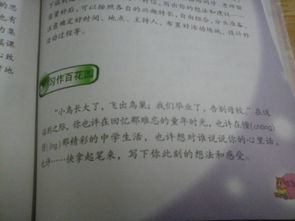 校園的墻壁作文,校園足球文化作文,紅色文化進校園作文800字