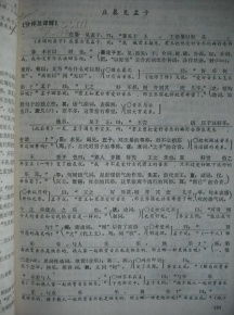 校園文明評點高中作文300字