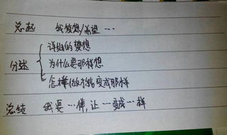 我們的校園高中作文500字作文