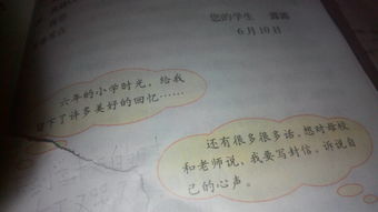 小學(xué)校園里的記憶400字作文六級