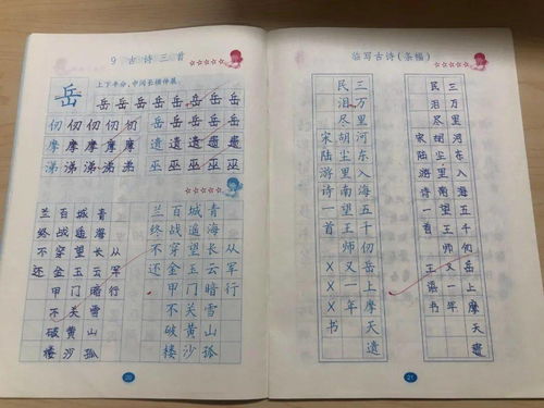 作文,五級(jí),完美,校園