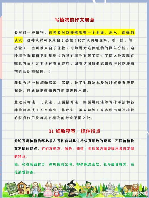 寫美麗的校園的作文,如何寫美麗的校園作文,美麗的校園寫教學樓的作文