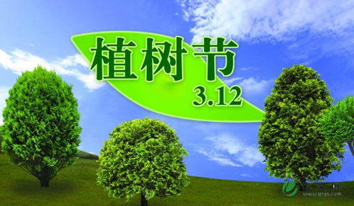 植樹節(jié),作文,校園