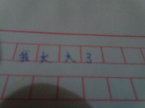 我的校園初中作文250字