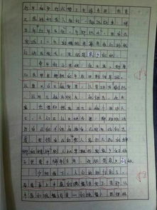 職高,作文,校園生活