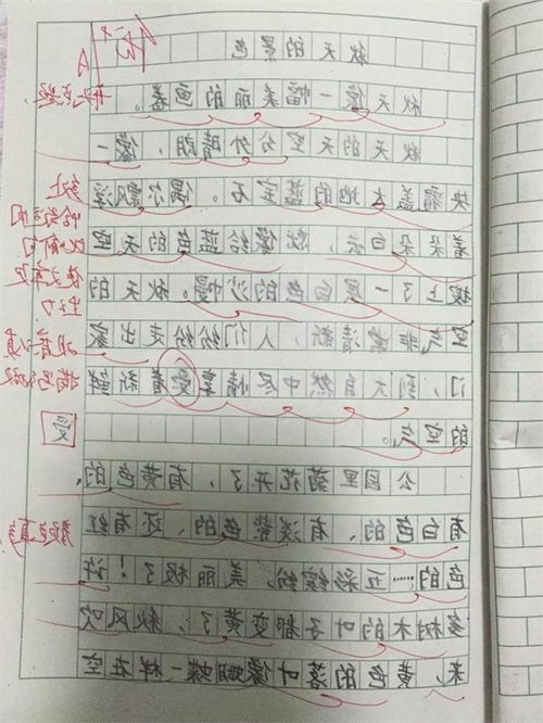 描寫秋天的校園的作文二年級,描寫秋天校園的作文200字三年級,描寫秋天校園的作文200字