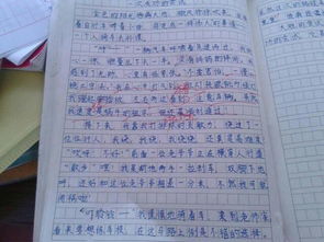 校園的一角作文400字初一,校園的一角作文400字左右,校園的一角作文400字五年級(jí)