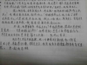 描寫校園的作文100字,描寫校園籃球場的作文100字,描寫校園場景的作文100字