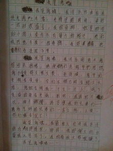 三級寫(xiě)校園植物作文200字