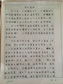 快樂的校園活動(dòng)作文四百字左右作文大全